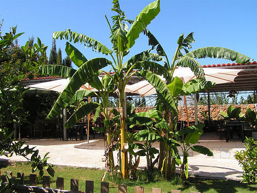Agriturismo Agave Fertilia Exterior photo